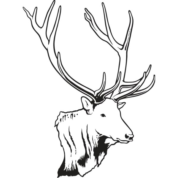 Elk1 Thumbnail
