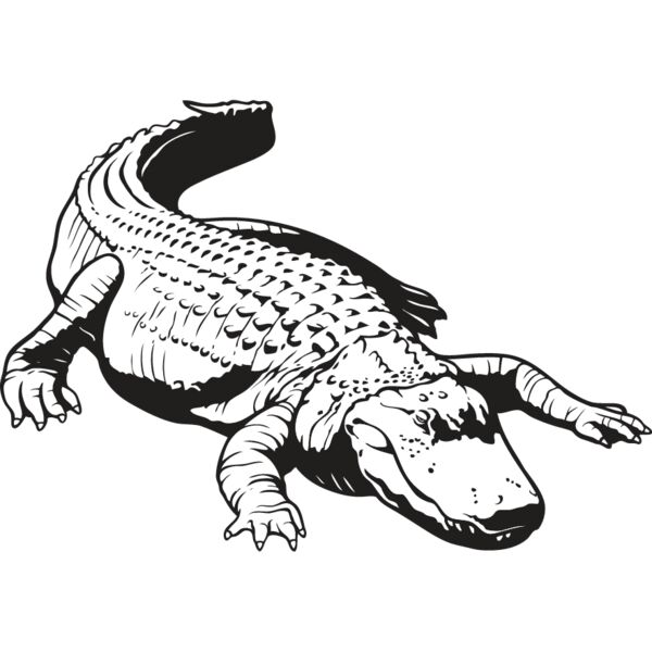 Alligator1 Thumbnail