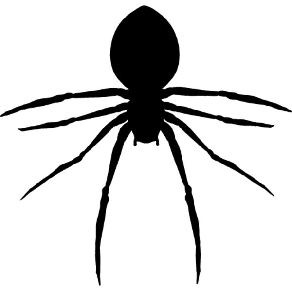 Spider Silhouette10 Thumbnail