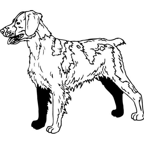 Brittany Spaniel1 Thumbnail
