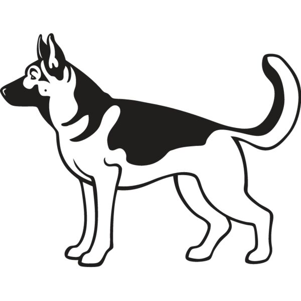 German Shepherd3 Thumbnail