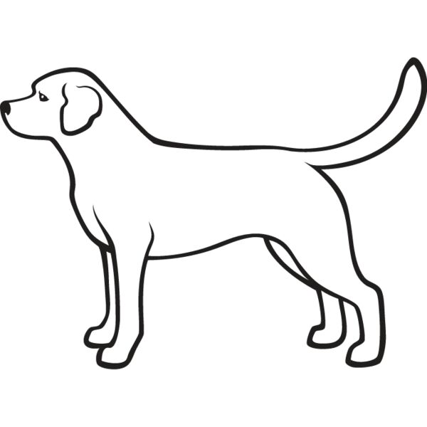 Labrador Retriever1 Thumbnail