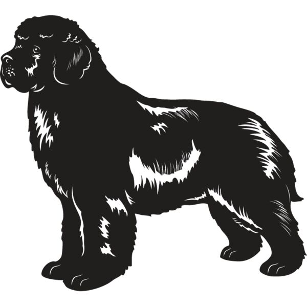 Newfoundland Thumbnail