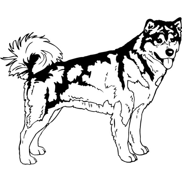 Malamute2 Thumbnail