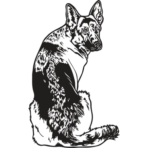 German Shepherd2 Thumbnail