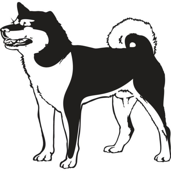 Shiba Inu2 Thumbnail