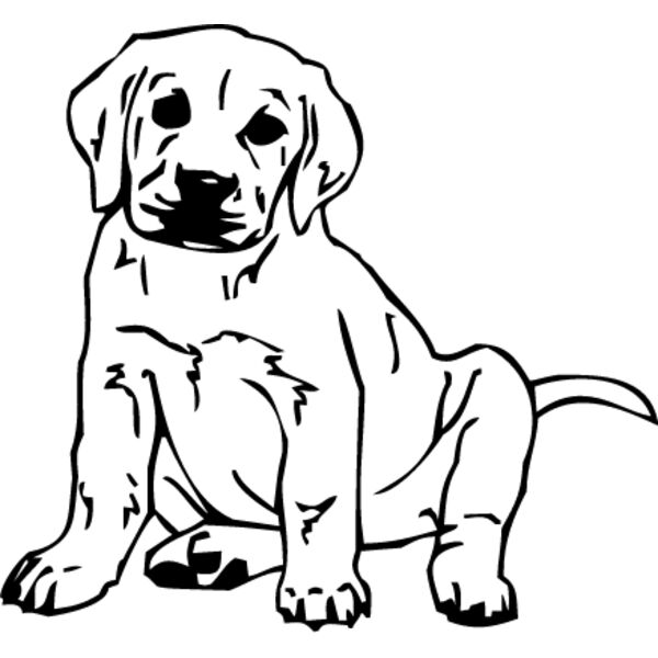 Labrador Puppy Thumbnail