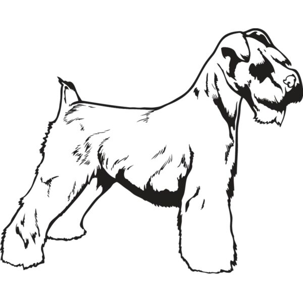 Miniature Schnauzer Thumbnail