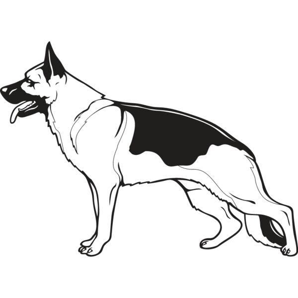 German Shepherd1 Thumbnail