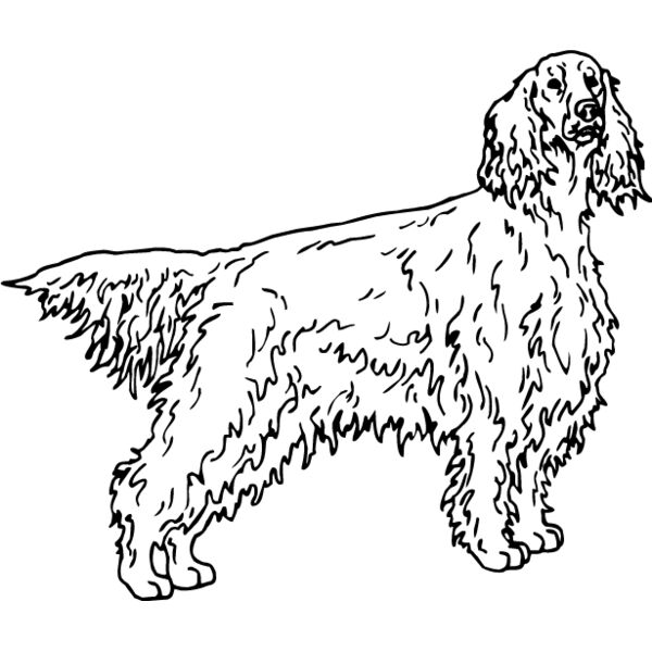 Irish Setter1 Thumbnail