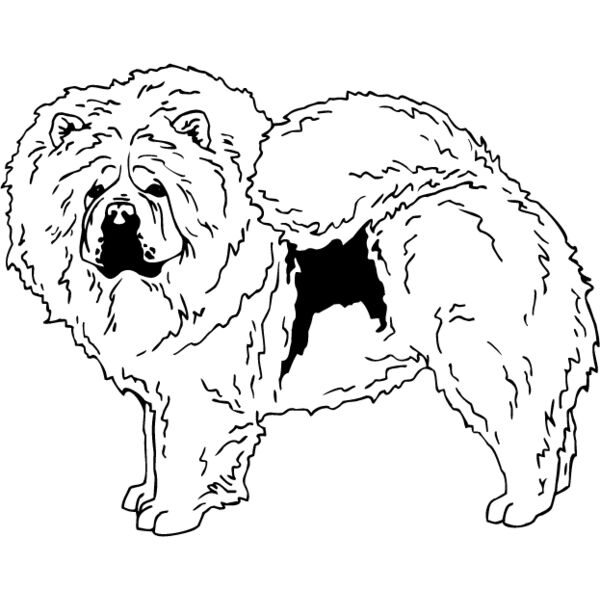 Chow Chow1 Thumbnail