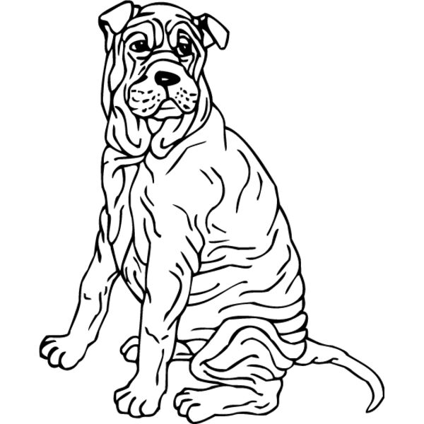 Shar Pei2 Thumbnail