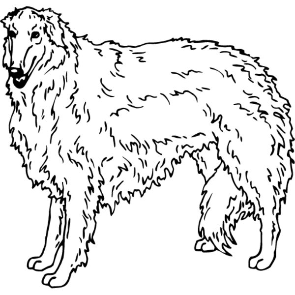 Borzoi Thumbnail