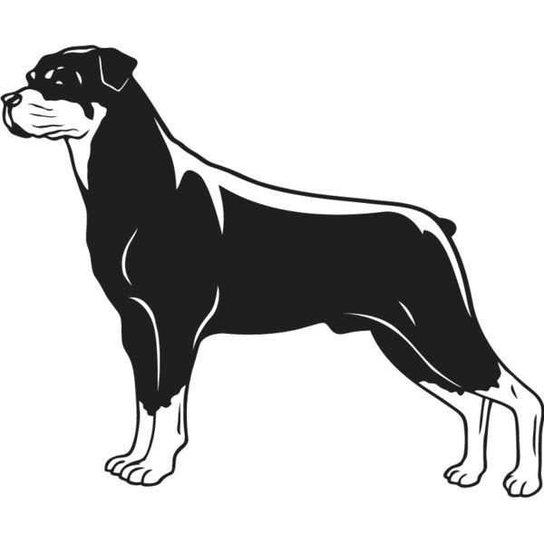 Rottweiler2 Thumbnail