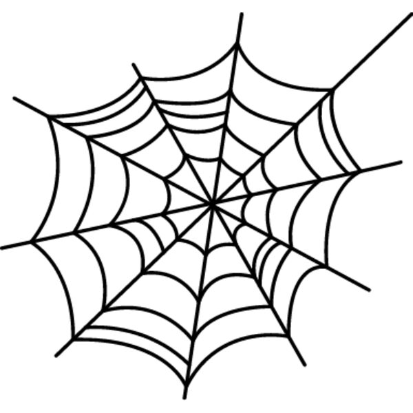 Spiderweb4 Thumbnail