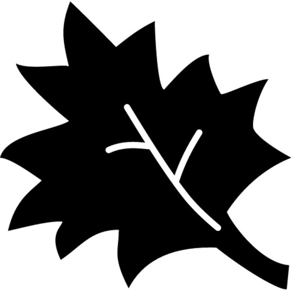 Maple Leaf1 Thumbnail