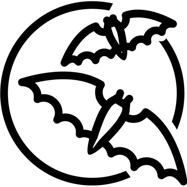 Bats2 Thumbnail