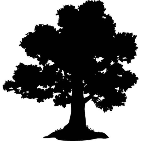 Trees Silhouette7 Thumbnail
