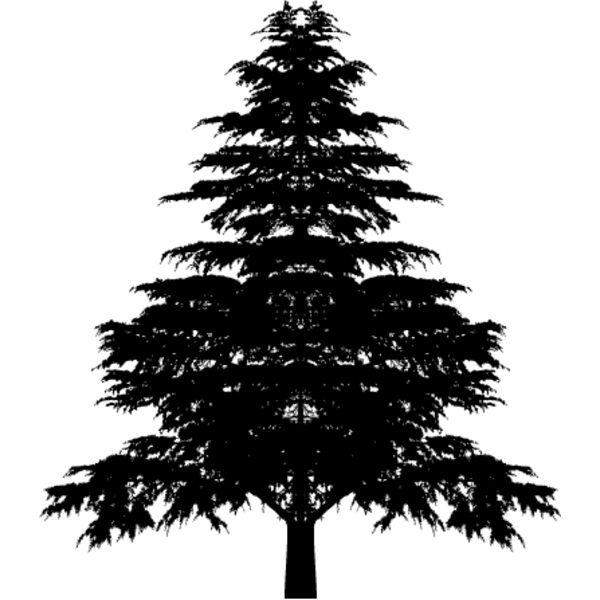 Pine Tree13 Thumbnail