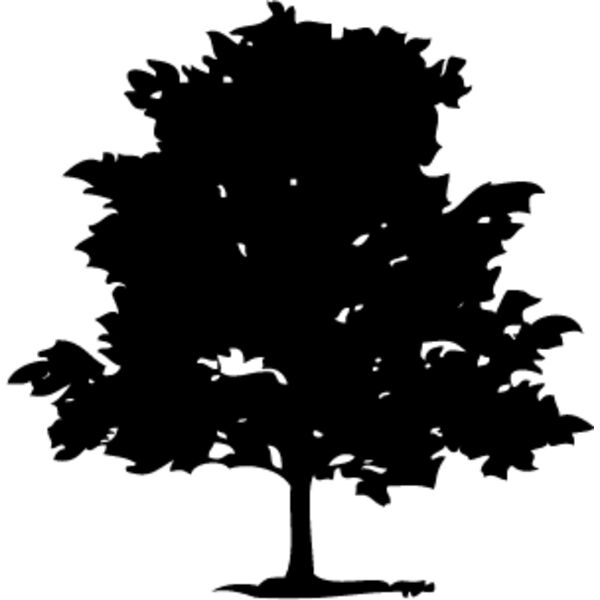 Trees Silhouette4 Thumbnail