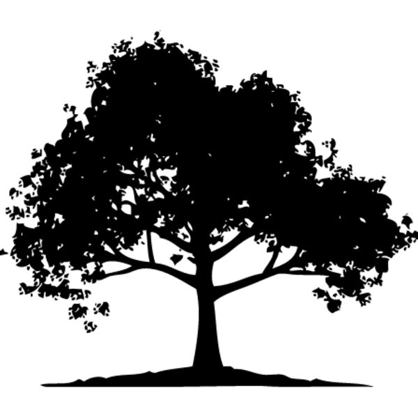 Trees Silhouette1 Thumbnail