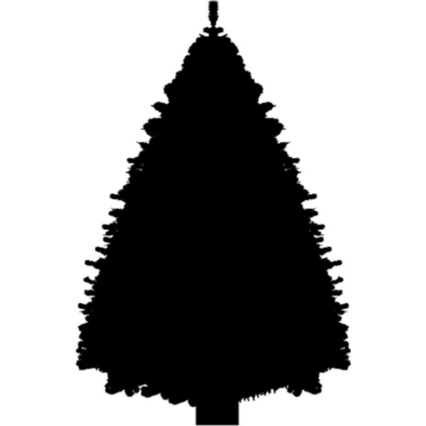 Pine Tree10 Thumbnail