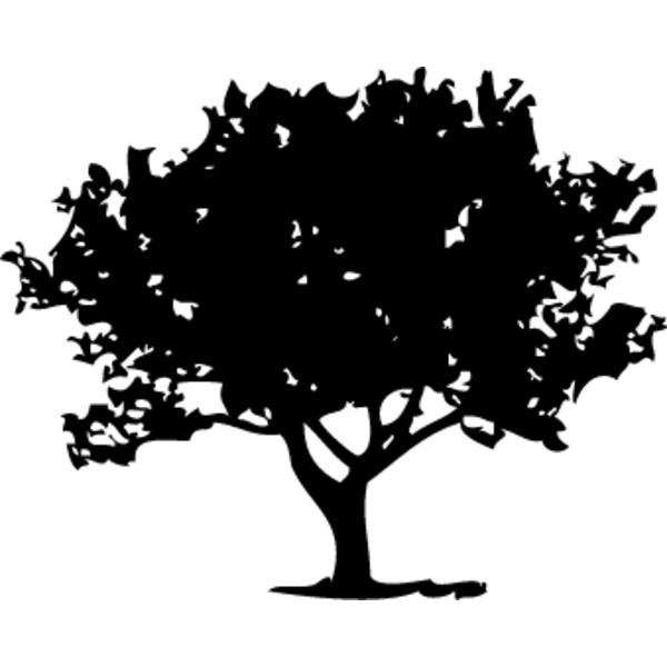 Trees Silhouette3 Thumbnail