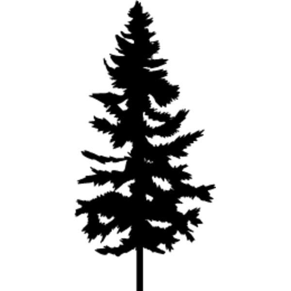 Pine Tree3 Thumbnail