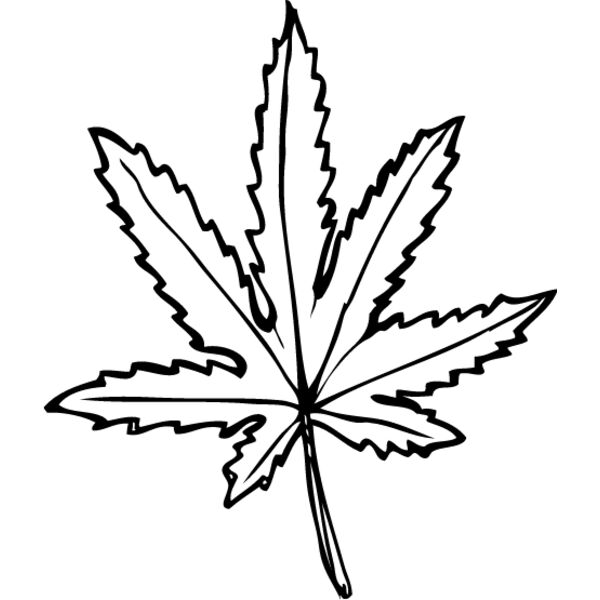 Leaf Line1 Thumbnail