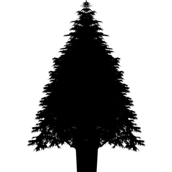 Pine Tree14 Thumbnail