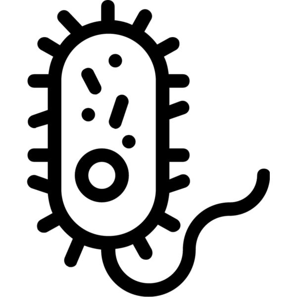 Bacteria Thumbnail