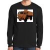Ultra Cotton ® 100% Cotton Long Sleeve T Shirt Thumbnail