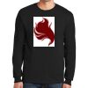 Ultra Cotton ® 100% Cotton Long Sleeve T Shirt Thumbnail